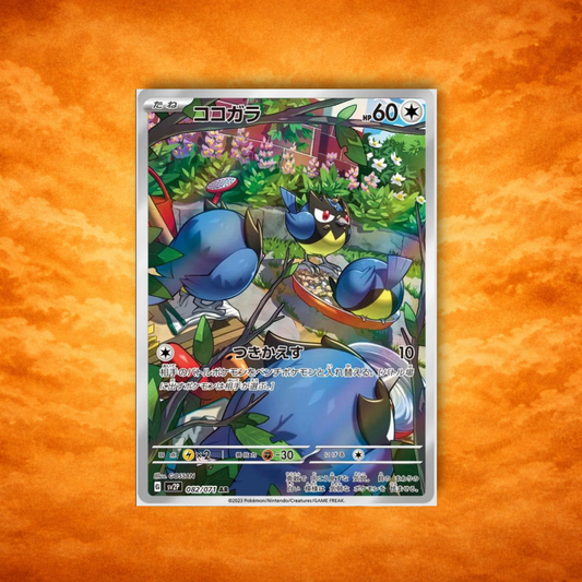 Pokémon TCG Snow Hazard Rookidee (JPN)